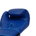 Fandar Blue Boxing Gloves - Image 6