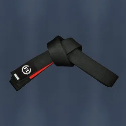 Ju-Jitsu belts manufacturer – Premium BJJ rank belts wholesale by Fandar International