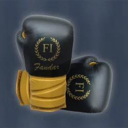Professional boxing gloves manufacturer – Premium lace-up competition gloves wholesale by Fandar International