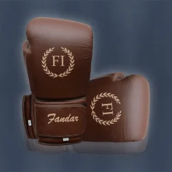 Competition gloves manufacturer – Premium 8oz 10oz fight boxing gloves wholesale by Fandar International