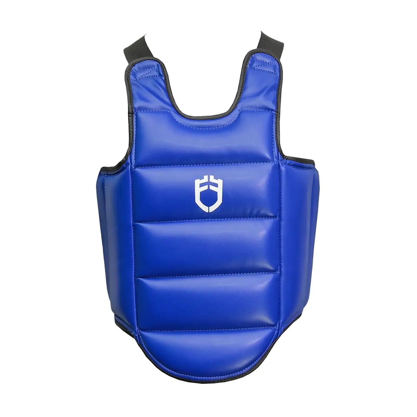 DSC_0267.webp Fandar Blue Chest Guards - Image 1