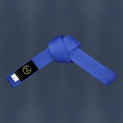 Judo belts manufacturer – Premium colored rank belts wholesale by Fandar International