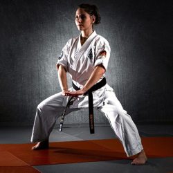 Martial arts belts wholesale manufacturer Fandar International